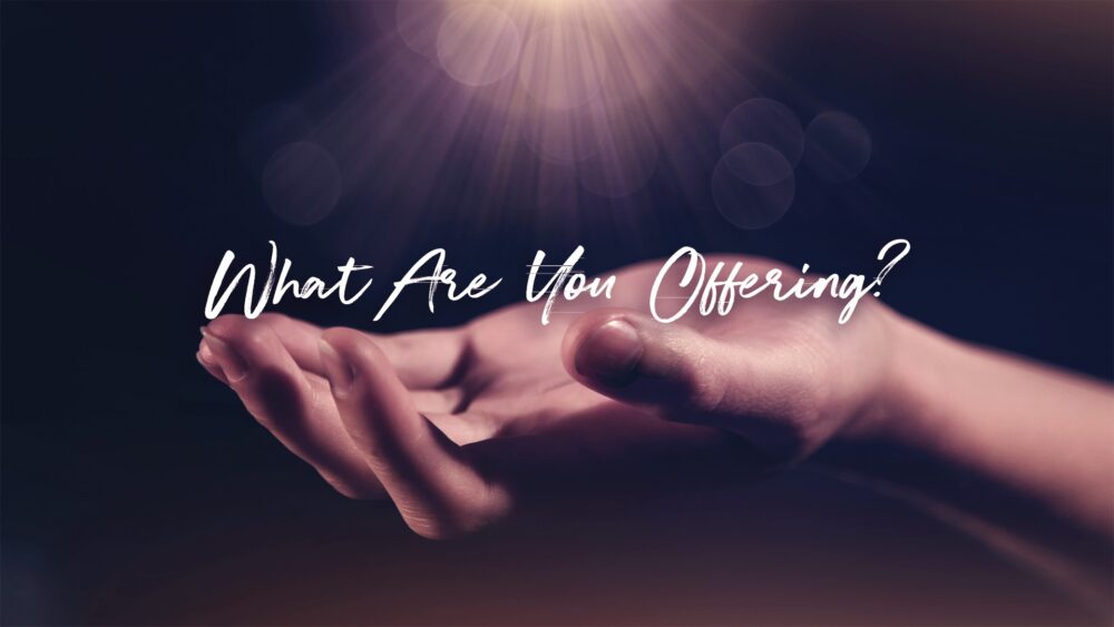 What Are You Offering?